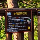 건식넘버원 | 숲을 알고 힐링을 느낄 수 있는 < 국립횡성숲체원 >