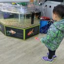 하나로 플라워 수족관 이미지