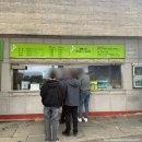 여미지 | 제주 서귀포 중문 ' 여미지식물원 ' 4월에 다녀온 솔직 후기 (꽃이 많이 없어요)