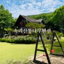 속리산통나무펜션 | 괴산 속리산통나무펜션 : 충북 괴산 단체, 가족 단독 펜션 추천 황금돼지 룸 컨디션 및 후기