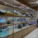 이리온 동물병원 이미지