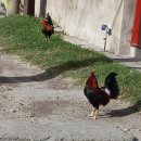 카지노게임랜드 이미지