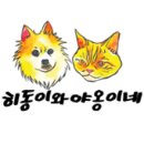 야옹마켓 | 강아지/고양이 함께 즐기는 웨루바 BFF 캔, 그리고 코드스킨