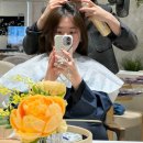 제이미룸 | 해운대 미용실 헤어컨설팅 '마노드제이미 마린시티점' 퍼스널염색 후기