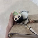 871기 050326 이태윤 이미지