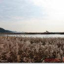 순천만벌교꼬막