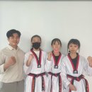 금성태권도장 이미지