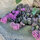 백미리 경로당 이미지