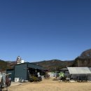 도그도그 | 뛰놀기 좋은 부산애견카페 도그백 방문 후기