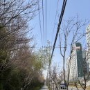 쉼터공원 화장실 이미지