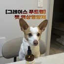 그레이스푸드랩