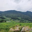 경북 예천군 청정지역 토지(2,595m2/당3만5천) 이미지
