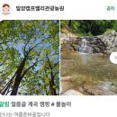 자연밸리 관광농원 이미지