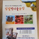 임실반디울농장 네이버블로그
