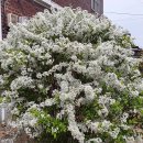 대성여관 이미지