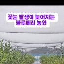 조아농원 이미지