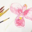 클랩디자인스튜디오 이미지