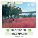 낙동강체육공원 축구장9번 화장실 | 대구 근교 가볼만한 곳 구미 핑크뮬리 낙동강체육공원 코스모스 아스타국화 위치 주차장 정보