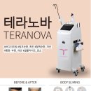 테라노바