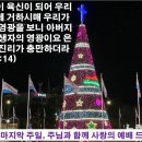 2021 12 26 12월 넷째주일 소망의 기도문 이미지