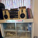 유달유업 | 목포 유달유업 비엔나커피 맛집 레트로 감성 카페 방문 후기