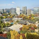 효자도서관 | [서울 은행나무 명소 실시간] 덕수궁 돌담길 정동길 효자로 삼청동 정독도서관 경복궁 향원정