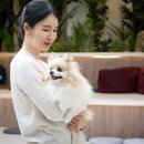 멍쓰홀릭 이미지