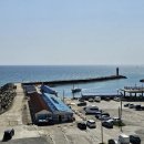 낭만가도 후진 이미지