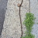 (주)초원