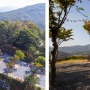 파인힐마트 이미지