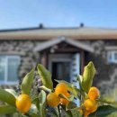 별아래 민박 이미지