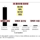 의사의식탁