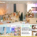 힐링캐터리 | 부산 캐터리 고양이와 함께하는 힐링산책