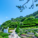 몽돌티파니횟집 이미지