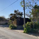 소솜,하루 이미지