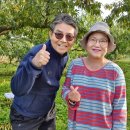 섬뜰농원 이미지