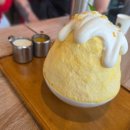 (유)아웃백스테이크하우스코리아 공항점 | 자유여행] 신혼여행 7일차_(두디빠통, 빅씨 마트, 에프터유, 민디 하우스 한식당, 뉴욕 라이브 뮤직 바)