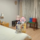 팜스세탁 이미지