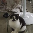 괴산농장 이미지