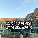 메트로마트 | 초등학생 아이와 도쿄여행 일정 공유 (1일 2일차 ep.1)