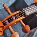 서울창서초등학교 이미지