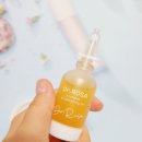 아이브이씨