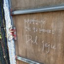 원당농장 | 제주 달제주 감귤농장 청귤체험 후기