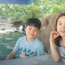 장산골