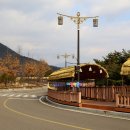 웰니스무브 이미지