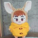 개나리세탁 이미지