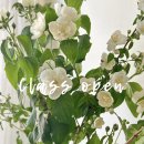 (11/17)핸드타이드 꽃다발 이미지
