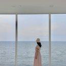 비다펠리즈(VIDA FELIZ) | 포항 호미곶 펜션 추천 풀빌라 오션뷰 비다펠리즈