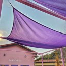 정통손짜장 | [1월 일상 기록_#03] 진주 카페 랄콜 &amp; 산청 원지 정통손짜장 후기