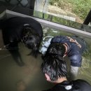 경원잠수 이미지